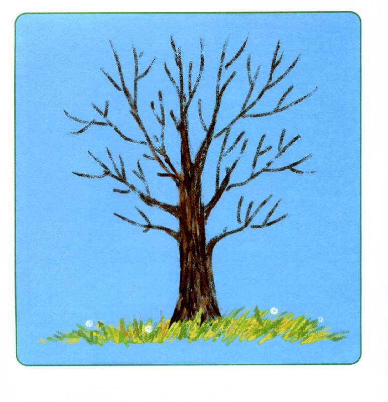 Иллюстрация 10 из 44 для Я рисую мир. Деревья - Белошистая, Дьяченко | Лабиринт - книги. Источник: Росинка