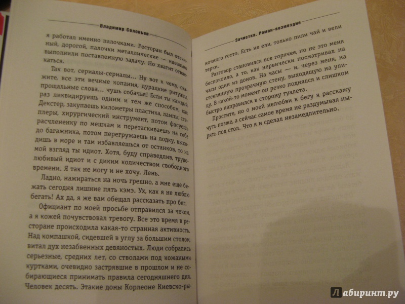 Иллюстрация 15 из 19 для Зачистка. Роман-возмездие - Владимир Соловьев | Лабиринт - книги. Источник: Ольга