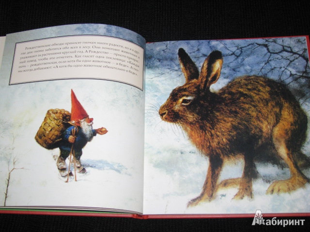 Иллюстрация 31 из 64 для Рождество гномов | Лабиринт - книги. Источник: Nemertona