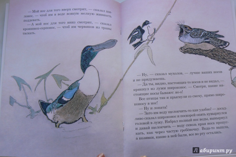 Иллюстрация 28 из 51 для Чей нос лучше - Виталий Бианки | Лабиринт - книги. Источник: Марина