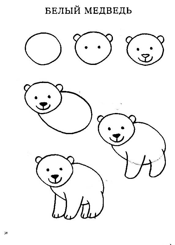 Иллюстрация 8 из 28 для Обучение рисованию. Рисуем животных | Лабиринт - книги. Источник: zingara