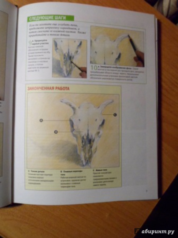 Иллюстрация 22 из 49 для Как научиться рисовать животных. Шаг за шагом | Лабиринт - книги. Источник: Optimistka