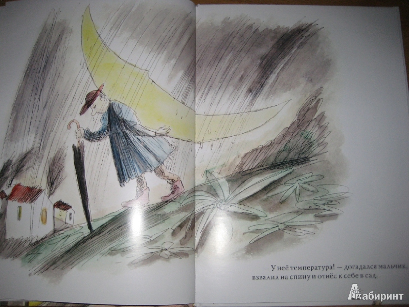 Иллюстрация 7 из 16 для Мальчик и луна - Леонид Тишков | Лабиринт - книги. Источник: Макарова  Елена