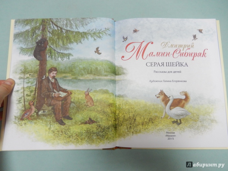 Иллюстрация 3 из 37 для Серая Шейка - Дмитрий Мамин-Сибиряк | Лабиринт - книги. Источник: dbyyb
