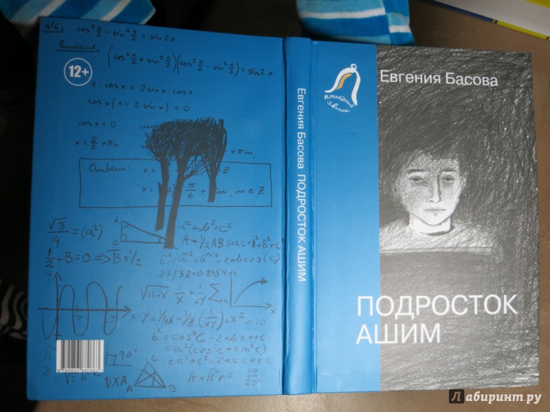 Иллюстрация 7 из 24 для Подросток Ашим - Евгения Басова | Лабиринт - книги. Источник: Юта