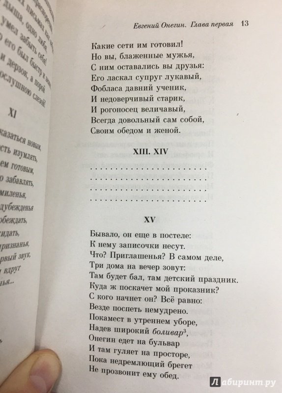 Иллюстрация 33 из 37 для Евгений Онегин - Александр Пушкин | Лабиринт - книги. Источник: Lina