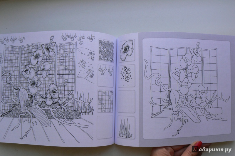 Иллюстрация 12 из 23 для Хочу в Японию. Зендудлы на каждый день - Екатерина Иолтуховская | Лабиринт - книги. Источник: Марина