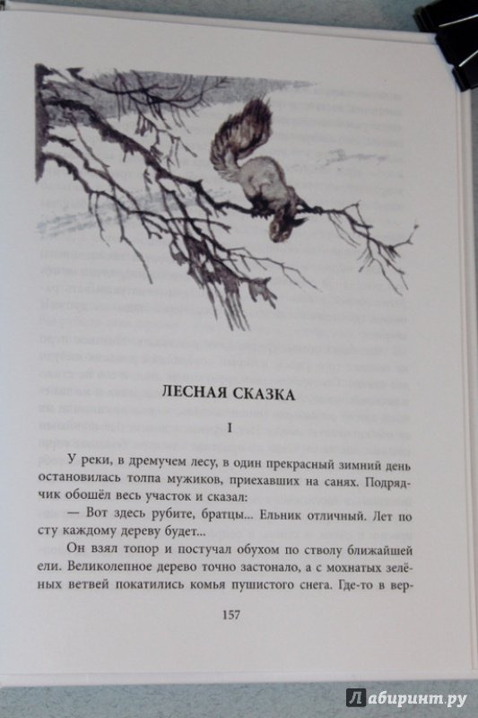 Иллюстрация 46 из 53 для Рассказы и сказки - Дмитрий Мамин-Сибиряк | Лабиринт - книги. Источник: Katerina