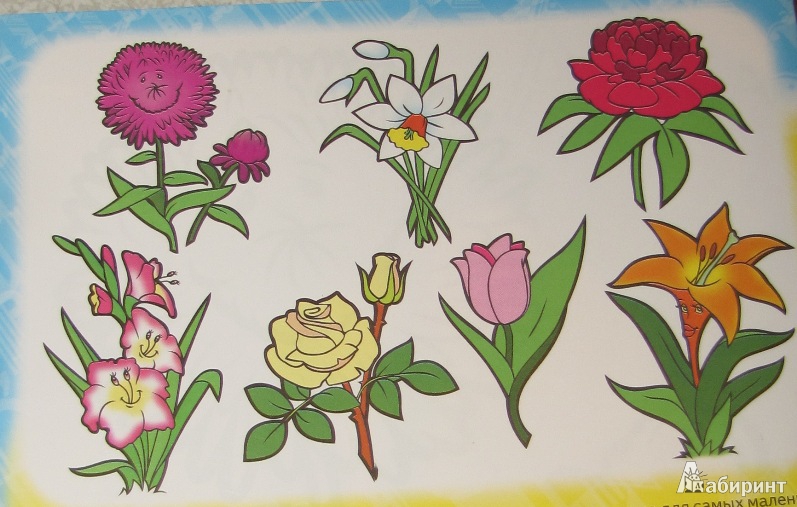 Иллюстрация 2 из 12 для Забавные садовые цветы | Лабиринт - книги. Источник: С.  Надежда