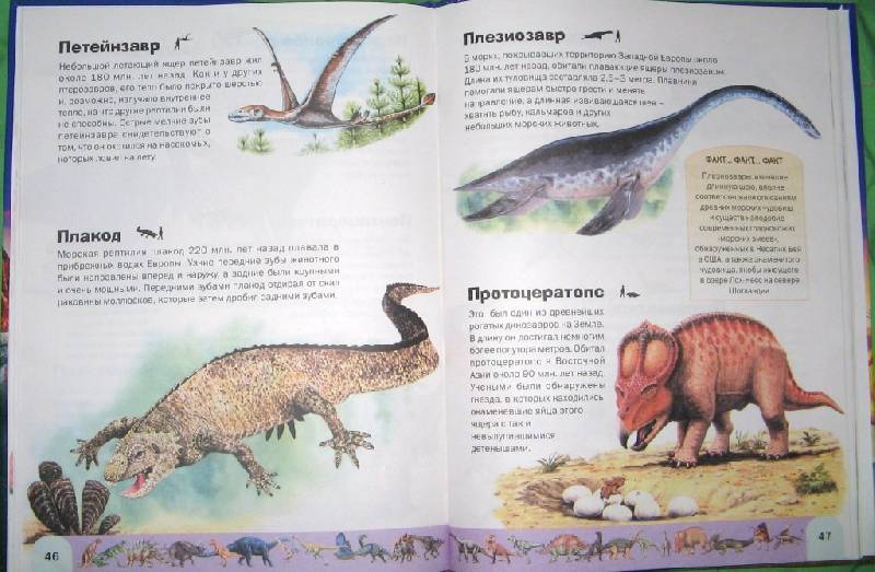 Иллюстрация 5 из 5 для Атлас динозавров - Руперт Мэттьюс | Лабиринт - книги. Источник: Читательница