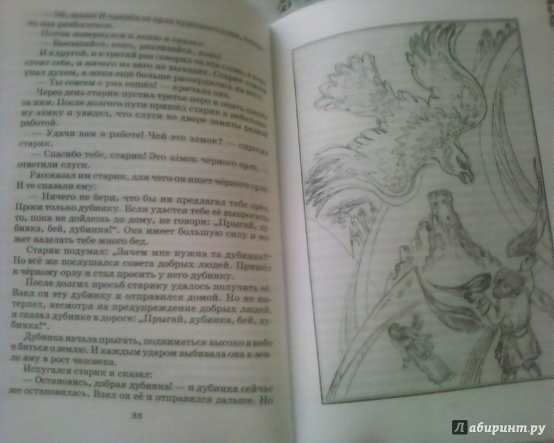 Иллюстрация 29 из 31 для Народные сказки балкарцев и карачаевцев | Лабиринт - книги. Источник: Родионова  Надежда