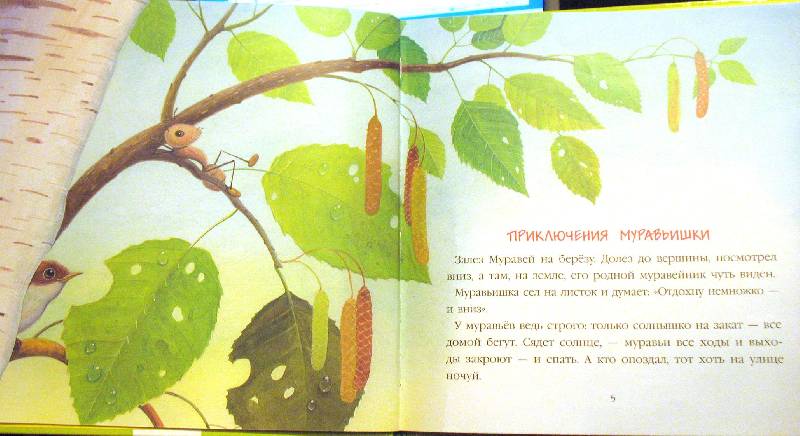 Иллюстрация 38 из 39 для В подарок малышу: Лесные сказки - Виталий Бианки | Лабиринт - книги. Источник: Jamberry