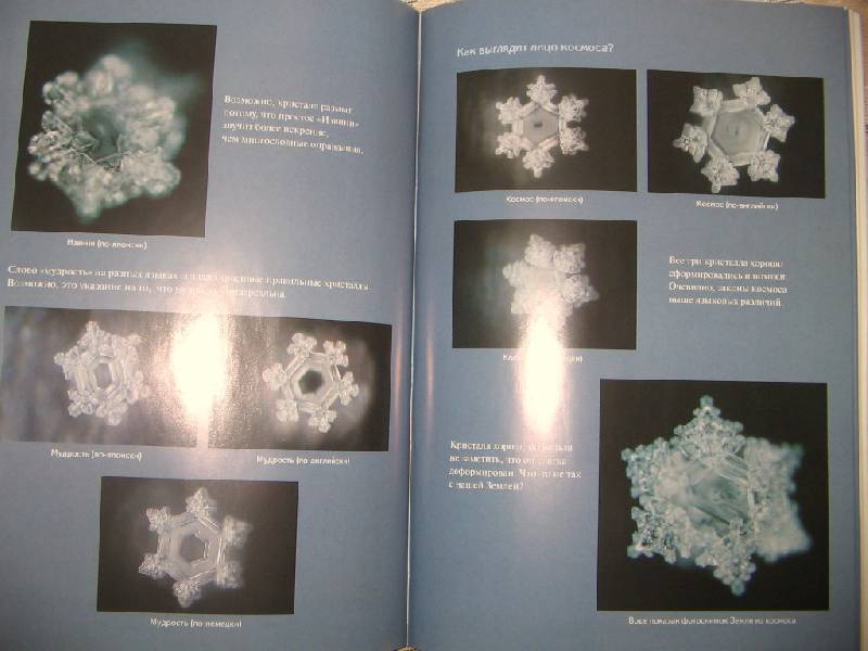 Иллюстрация 5 из 8 для Послания воды: Тайные коды кристаллов льда - Масару Эмото | Лабиринт - книги. Источник: Читательница