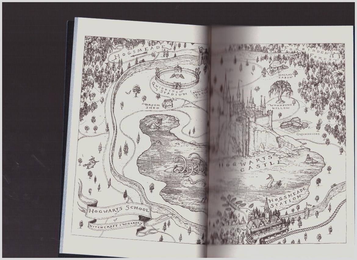 Иллюстрация 20 из 28 для Harry Potter and the Philosopher's Stone - Ravenclaw House Edition - Joanne Rowling | Лабиринт - книги. Источник: LanaEr