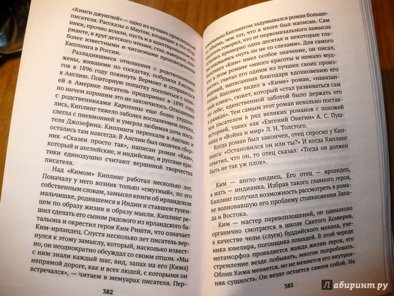 Иллюстрация 29 из 39 для Ким - Редьярд Киплинг | Лабиринт - книги. Источник: Голиков  Сергей Юрьевич