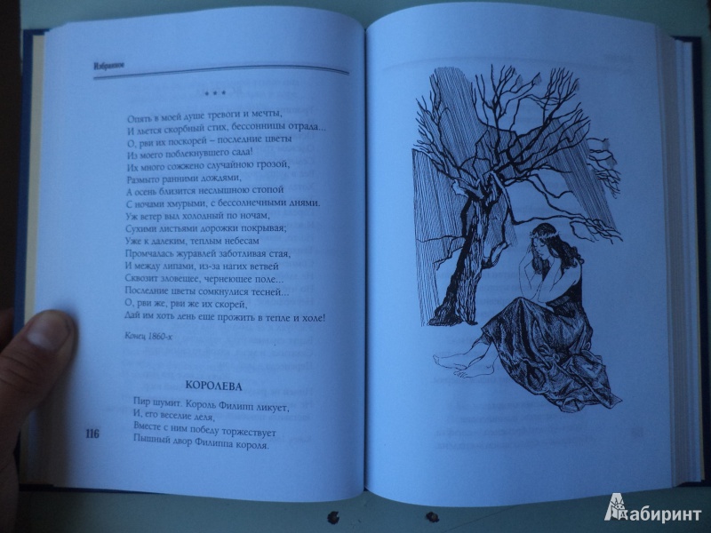 Иллюстрация 6 из 39 для Избранное - Алексей Апухтин | Лабиринт - книги. Источник: Матыкин  Владислав Николаевич