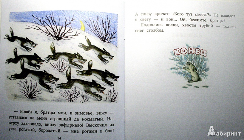 Иллюстрация 21 из 21 для Зимовье | Лабиринт - книги. Источник: Chochara