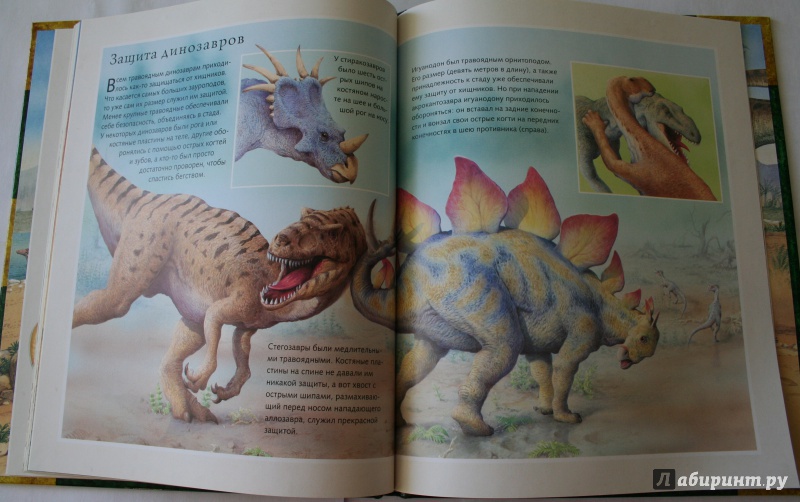 Иллюстрация 43 из 47 для В поисках динозавра - Николас Харрис | Лабиринт - книги. Источник: Jus