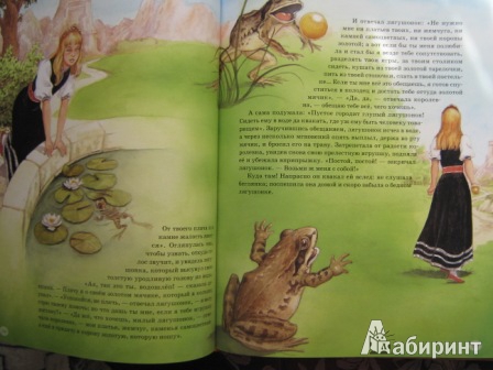 Иллюстрация 18 из 23 для Сказки - Гримм Якоб и Вильгельм | Лабиринт - книги. Источник: Notaben