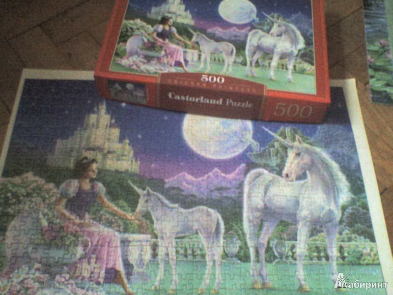 Иллюстрация 6 из 8 для Puzzle-500 "Единороги и принцесса" (B-51632) | Лабиринт - игрушки. Источник: Роза с шипами