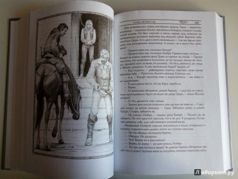 Иллюстрация 33 из 60 для Ведьмак. Башня Ласточки - Анджей Сапковский | Лабиринт - книги. Источник: VALERIYA