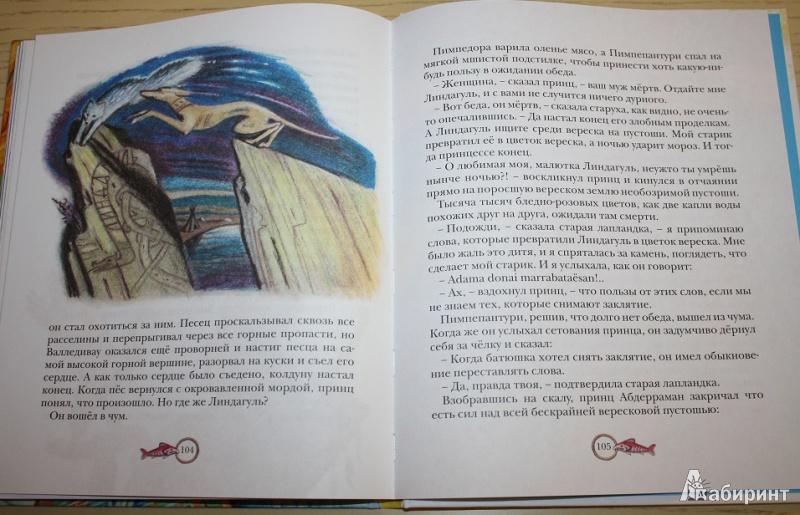Иллюстрация 49 из 65 для Принцесса Линдагуль и другие сказки | Лабиринт - книги. Источник: КНИЖНОЕ ДЕТСТВО