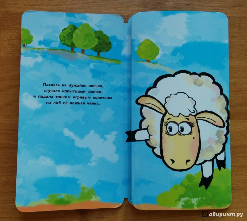 Иллюстрация 15 из 19 для Это овечка? - Петр Волцит | Лабиринт - книги. Источник: Лабиринт