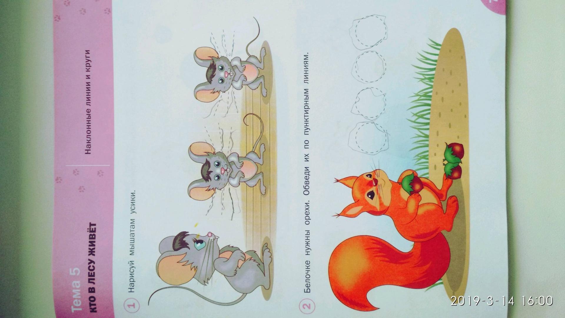 Иллюстрация 27 из 32 для Оранжевый котенок. Готовимся писать. Тетрадь для занятий с детьми 3- 4 лет. ФГОС ДО - Вениамин Мёдов | Лабиринт - книги. Источник: Татуйко Мария