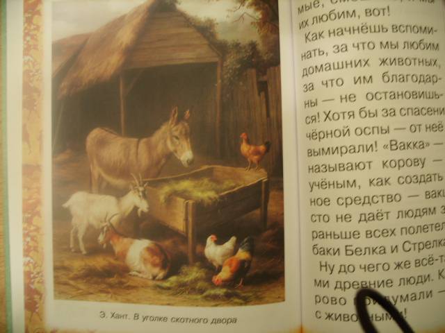 Иллюстрация 29 из 31 для Животные: помощники и друзья - Инна Гамазкова | Лабиринт - книги. Источник: solo tu