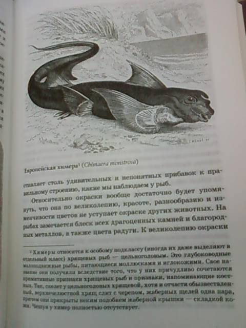 Иллюстрация 56 из 58 для Жизнь животных в одном томе - Альфред Брем | Лабиринт - книги. Источник: lettrice