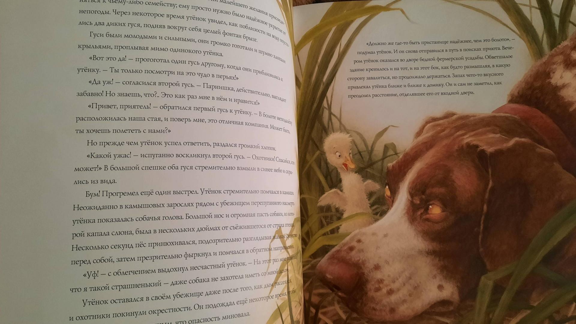 Иллюстрация 60 из 72 для Классические сказки для детей | Лабиринт - книги. Источник: Михайлова  Марина