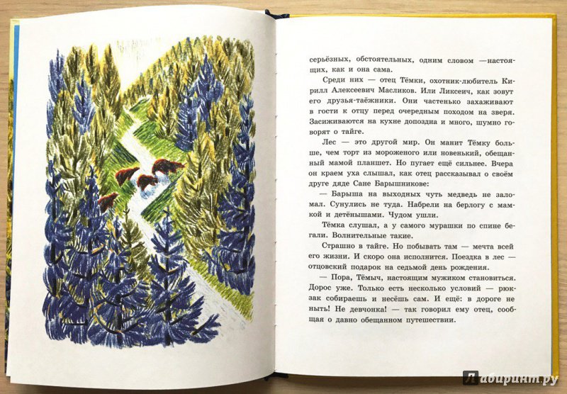 Иллюстрация 23 из 29 для Сын тайги - Наталья Шицкая | Лабиринт - книги. Источник: Книжный шкаф детям