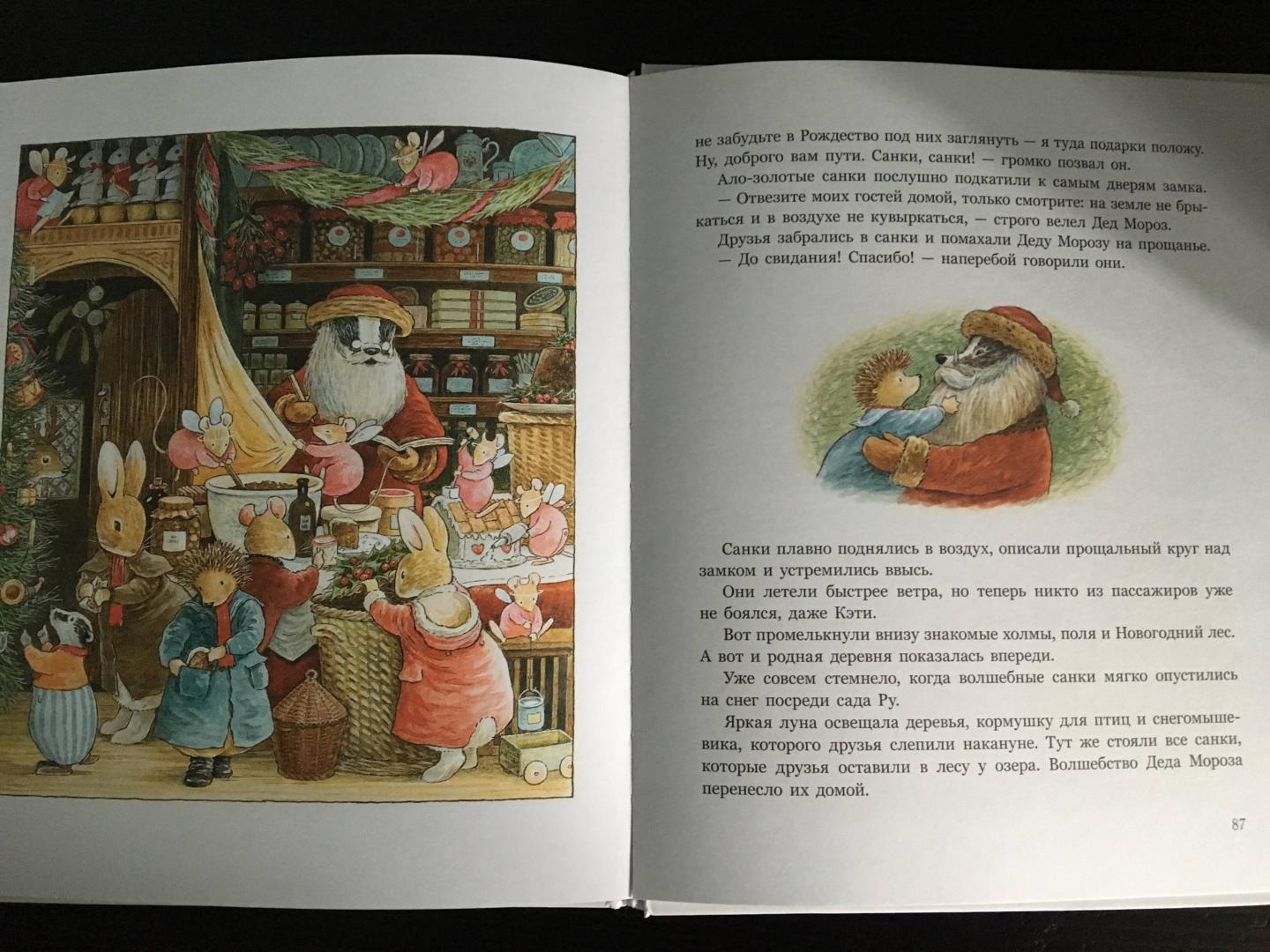 Иллюстрация 81 из 99 для Чудеса в зимнем лесу - Патерсон, Патерсон | Лабиринт - книги. Источник: Лабиринт