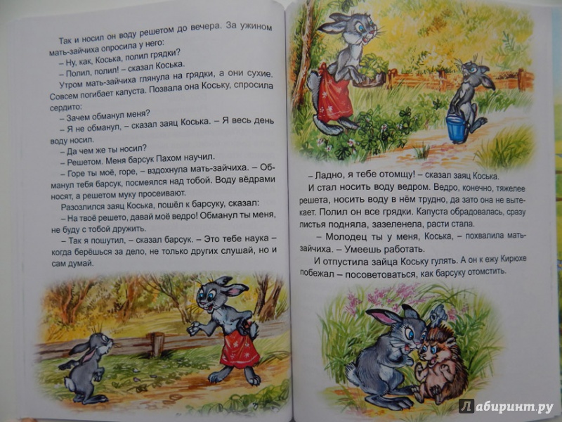 Иллюстрация 12 из 15 для Сказки нашего леса - Николай Грибачев | Лабиринт - книги. Источник: Мелкова  Оксана