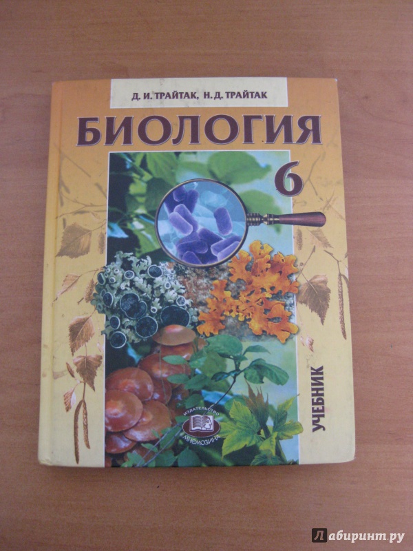 Иллюстрация 32 из 34 для Биология. Растения, бактерии, грибы, лишайники. 6 класс. Учебник - Трайтак, Трайтак | Лабиринт - книги. Источник: Лабиринт