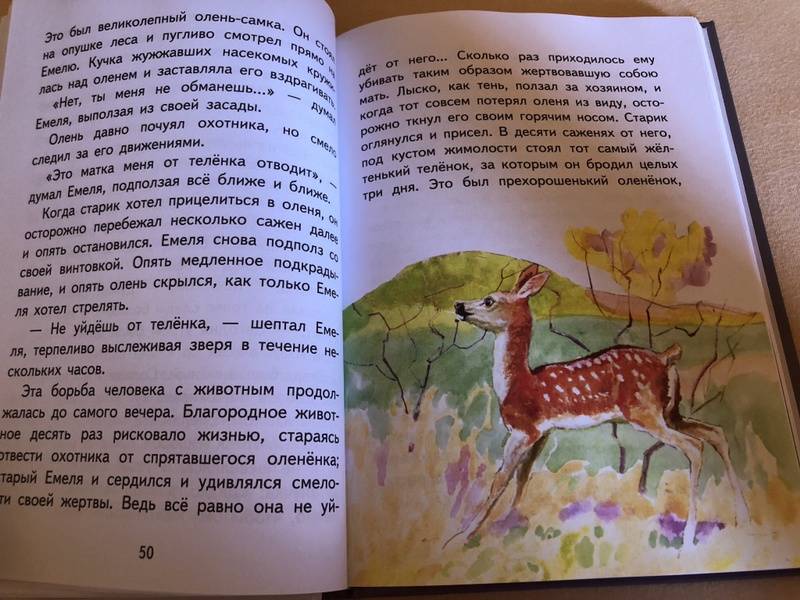 Иллюстрация 4 из 62 для Медведко - Дмитрий Мамин-Сибиряк | Лабиринт - книги. Источник: Вегерина  Инна