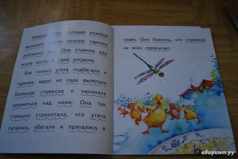 Иллюстрация 3 из 7 для Храбрый утёнок - Борис Житков | Лабиринт - книги. Источник: Журавлёва  Анна