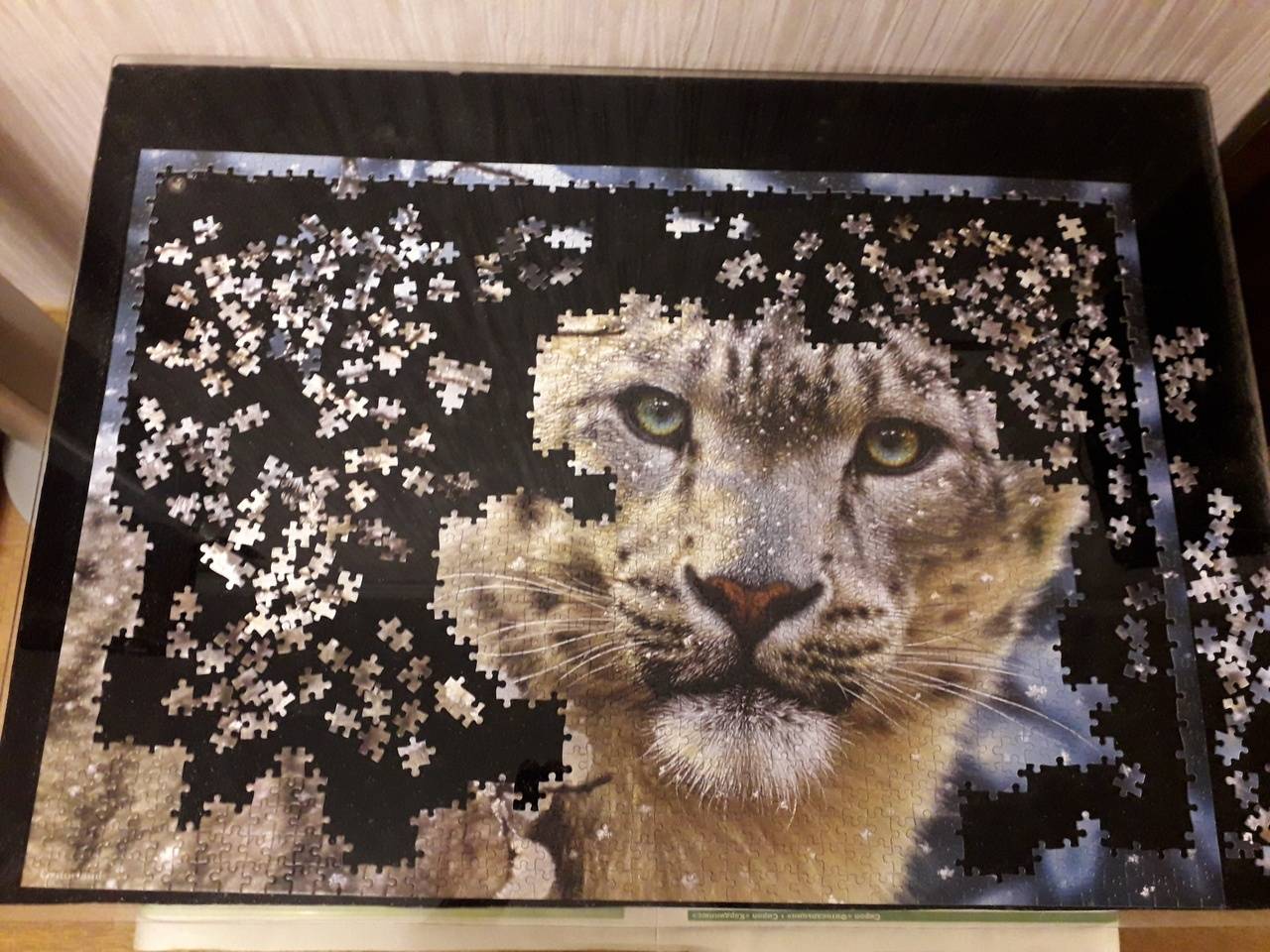 Иллюстрация 5 из 8 для Puzzle-1500. "Снежный леопард" (С-150823) | Лабиринт - игрушки. Источник: Гаврилова  Ольга