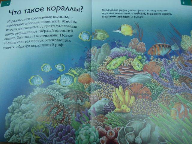 Иллюстрация 22 из 23 для Коралловые рифы - Роберт Коуп | Лабиринт - книги. Источник: rizik