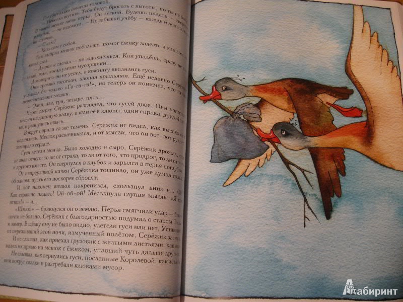 Иллюстрация 31 из 195 для Серёжик - Елена Ракитина | Лабиринт - книги. Источник: Лабиринт