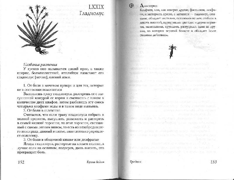 Иллюстрация 25 из 30 для Кухня ведьм: Полезные тайны | Лабиринт - книги. Источник: АишКа