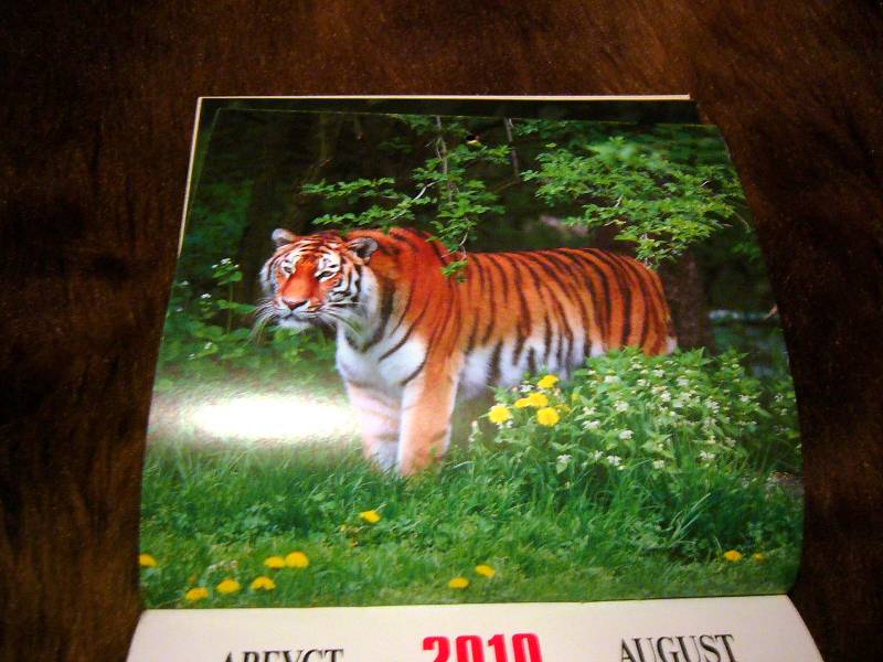 Иллюстрация 13 из 14 для Календарь 2010 Год тигра (0607) | Лабиринт - сувениры. Источник: Nika