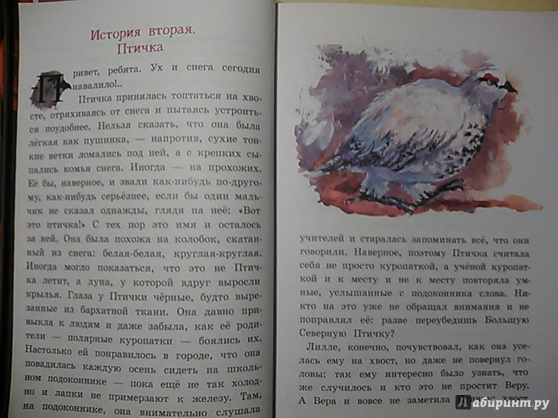 Иллюстрация 18 из 32 для Бусина карманного карлика - Анастасия Строкина | Лабиринт - книги. Источник: Gr