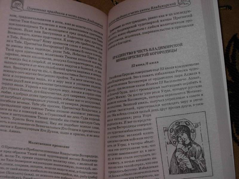 Иллюстрация 7 из 16 для Особый Молитвенный Покров чудотворной иконы Владимирской Божией Матери - Фотиния Матушка | Лабиринт - книги. Источник: ---Ник---