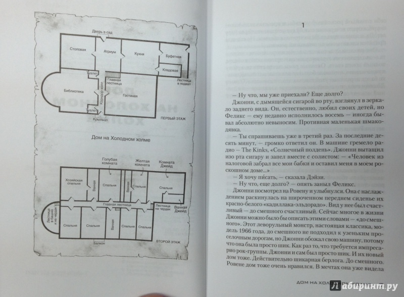 Иллюстрация 5 из 20 для Дом на холодном холме - Питер Джеймс | Лабиринт - книги. Источник: Tatiana Sheehan