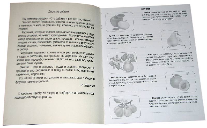 Иллюстрация 1 из 2 для Фрукты, овощи: Книжка с наклейками | Лабиринт - книги. Источник: *Мария*