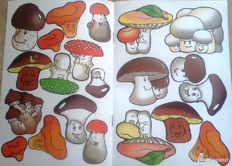 Иллюстрация 20 из 22 для Собери грибы | Лабиринт - игрушки. Источник: ОксанаШ
