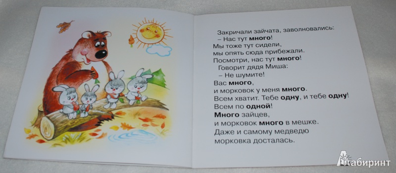 Иллюстрация 13 из 34 для Много-мало - Светлана Теплюк | Лабиринт - книги. Источник: Книжный кот