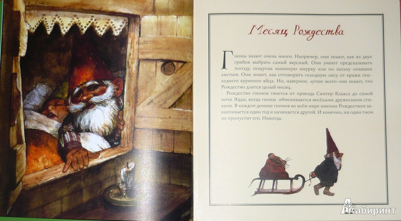 Иллюстрация 13 из 64 для Рождество гномов | Лабиринт - книги. Источник: Ромашка:-)