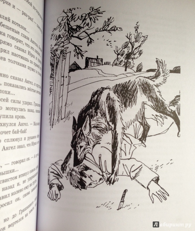Иллюстрация 17 из 29 для Юрка Гусь - Вильям Козлов | Лабиринт - книги. Источник: Псевдоним